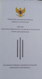 PERATURAN KALURAHAN PENGKOL NOMOR 10 TAHUN 2024 TENTANG ANGGARAN PENDAPATAN DAN BELANJA KALURAHAN TA